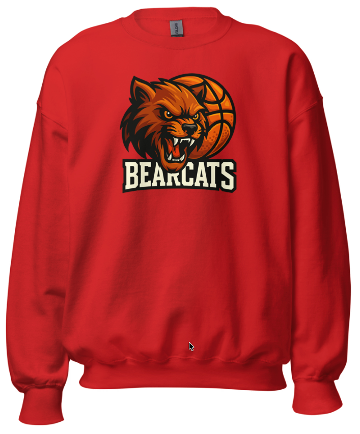 Bearcats Basketball #2